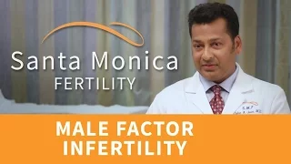 About Male Infertility: Factors, Causes, Treatments