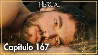 Hercai - Capítulo 167