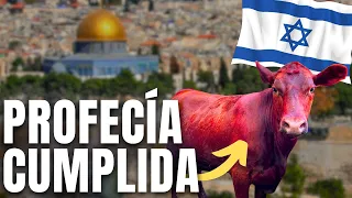 🚨 6 Señales en ISRAEL del FIN de los TIEMPOS sucediendo AHORA! (Profecías Bíblicas) Apocalipsis Dios