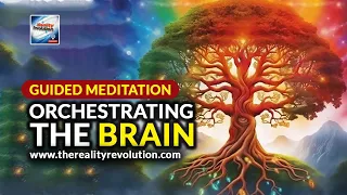 Guided Meditation - Orchestrating The Brain