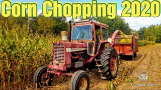 Chopping Corn 2020: Day 1