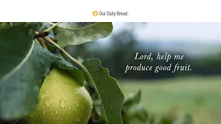 Look at the Fruit | Audio Reading | Our Daily Bread Devotional | October 1, 2022