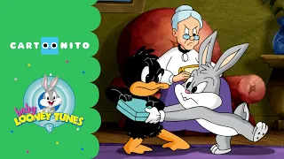 Baby Looney Tunes | Back in the Past | Cartoonito