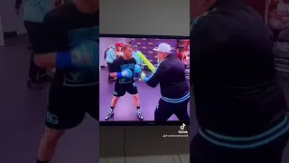 Canelo Vs Munguía 2 boxeadores Mexicanos