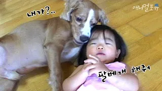 [어린이날 특집] 태어나 보니까 보모가 강아지｜KBS 060903 방송