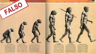 Evolution Myths