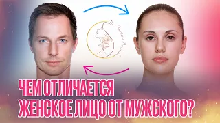 Чем отличается женское лицо от мужского?