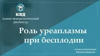 954  Роль уреаплазмы при бесплодии