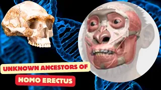 Why Do The Ancestors of Homo Erectus Remain Unknown ?