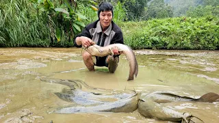 Harvesting Catfish ( Fish ) to sell - Taking care of pets | Solo Survival