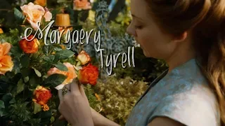 Margaery Tyrell⎹ Looking too closely