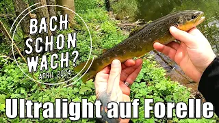 Bach schon wach? | Ultralight im April | Forellen 2024