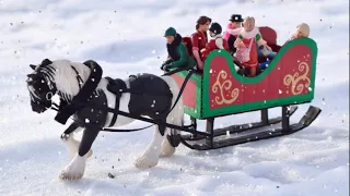 The Sleigh Ride - Schleich Model Horse Special Winter Movie