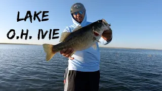 Lake O.H. Ivie Bass Fishing | Biggin's landed on C-rigs!