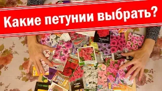 Какую петунию выбрать для себя? Мой выбор семян петуний 2019