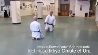 Test de 4 kyu Aikido USAF