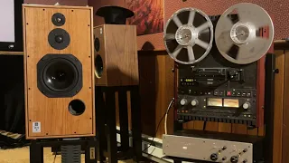 Harbeth SHL5 Plus XD at Delve Audio