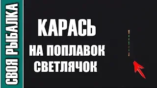 Ловля карася на поплавок светлячок. Поклёвки в темноте крупным планом!