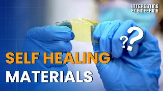 Which Materials Repair Themselves?