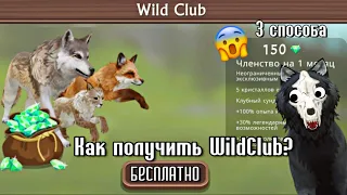 КАК ПОЛУЧИТЬ ПОДПИСКУ в WildCraft? // 3 способа на WildClub в игре