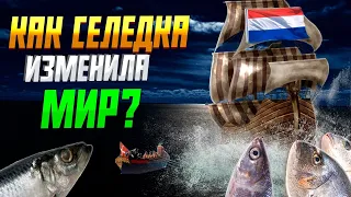 Как селедка изменила мир? #селёдка #история #нидерланды