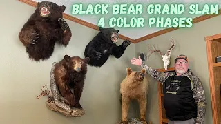 Color phase black bear hunting grand slam explained