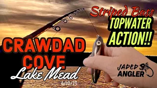 Topwater Striped Bass Fishing at Crawdad Cove, Lake Mead!  06/10/23