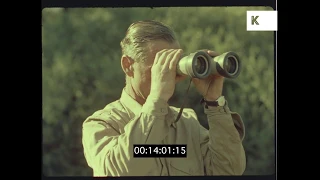 Deer Hunting, 1960s Argentina, HD