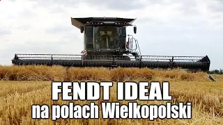 Fendt IDEAL na polach Wielkopolski – żniwa 2019