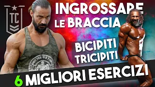 COME allenare BICIPITI e TRICIPITI - I 6 MIGLIORI esercizi per le braccia ▶️