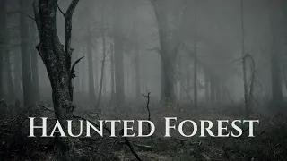 Haunted Forest - Ambience (no music) - sounds of a misty creepy forest