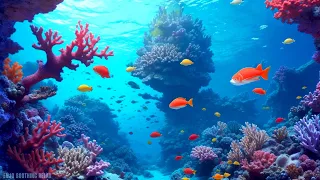 Calming and healing music 🌿RESTORATION OF THE NERVOUS SYSTEM Meditation 🌿Ocean