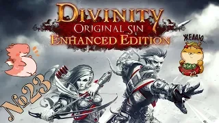 Прохождение Divinity Original Sin Enhanced Edition Серия 23 "Понтий пират"