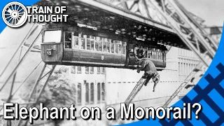 That time an Elephant accidentally jumped out of a German Monorail - Tuffi the Elephant