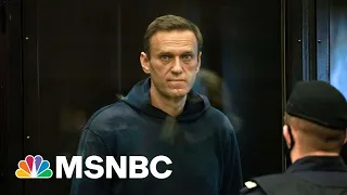 Navalny Appears In Court After Ending Hunger Strike | MSNBC