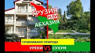 Грузия или Абхазия ☀️  Сравниваем природу. Уреки и Сухум