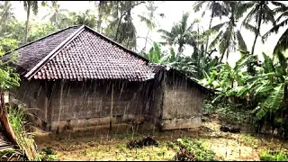 Super heavy rain and thunder | in the village entered the forest | Sleep with the sound of rain
