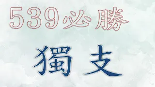 11月22日 539必勝獨支-1上期中26