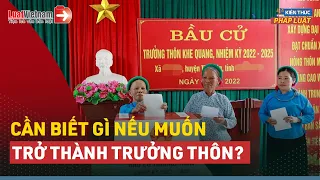 Trưởng Thôn, Tổ Trưởng Dân Phố Tiêu Chuẩn Bầu, Mức Phụ Cấp | LuatVietnam