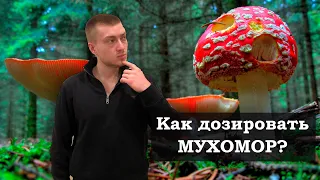 Как правильно дозировать мухомор? | С помощью чего взвесить дозировку мухомора?