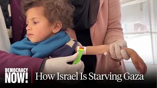 Israel Kills 104 Palestinians Waiting for Food Aid as U.N. Expert Accuses Israel of Starving Gaza