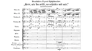 J.S Bach - Cantata: Herr, wie du willt, so schick's mit mir, BWV 73