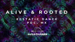 ALIVE & ROOTED // ECSTATIC DANCE SET 17.09.23