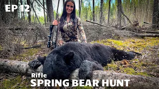 SPRING BLACK BEAR HUNT - Rifle - Northern Alberta - Borealhuntsman