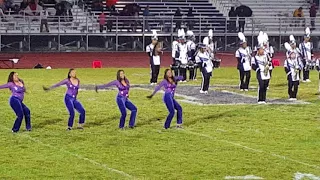 TTHS Marching Wildcats (Homecoming 2017)