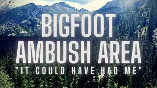OUTDOORSMAN SHARES HIS BIGFOOT EXPERIENCE! | ELK CAMP WAS NEVER THE SAME!