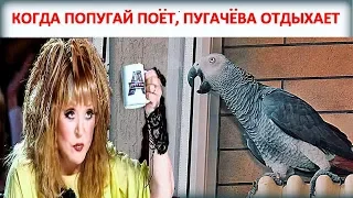 КОГДА ЖАКО ПЕТРУНЯ ПОЕТ, ПУГАЧЕВА ОТДЫХАЕТ😂 Funny parrot