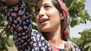 SOUS LES FIGUES - تحت الشّجرة d'Erige Sehiri | Bande-annonce VOSTFR