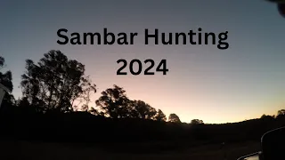 Sambar Hunting