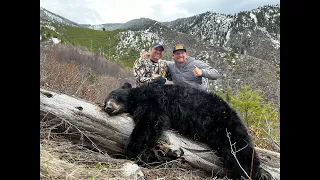 2023 Back Country Spring Bear Hunt